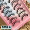 Aimo - Set Of 10 : False Eyelashes (SA203)
