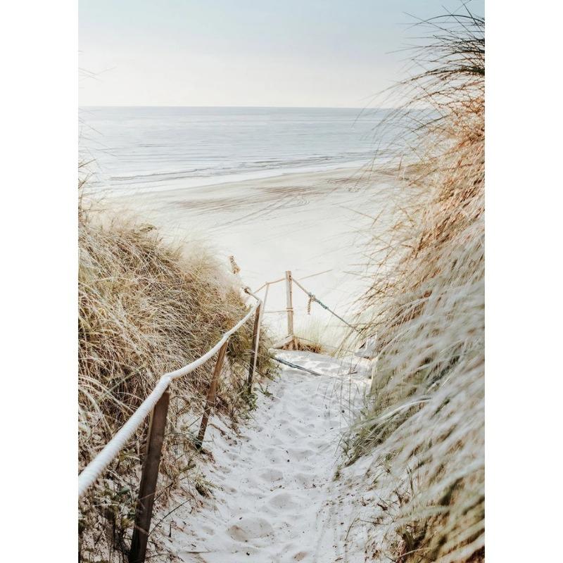 Nature Beach Sea Waves Coastal Pampass Grass Reed Sky Bus Photography Nordic Poster Canvas Printing Wall Home Decor