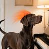 Haustier-Perücke Oranges Verkleidungs-Katzen-Hunde-Cosplay-Dekoration Haustier-Kopfschmuck Kostüm für Halloween Weihnachten Reisen Innen Außen Versammlung