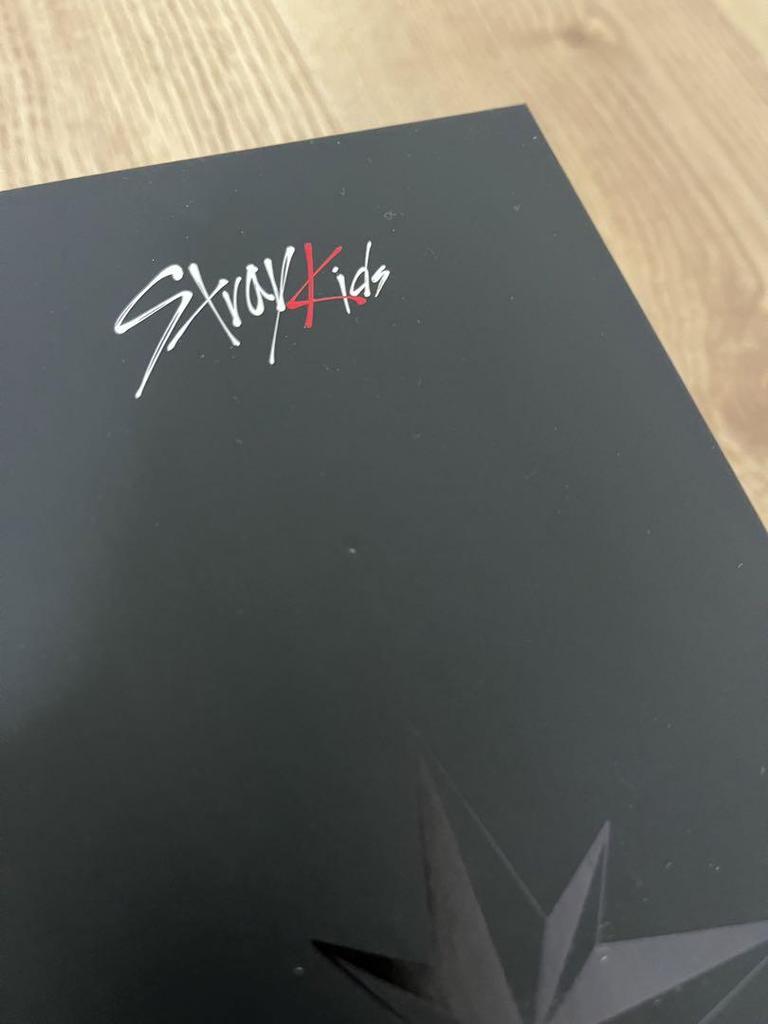 [USED] Stray Kids Light Stick