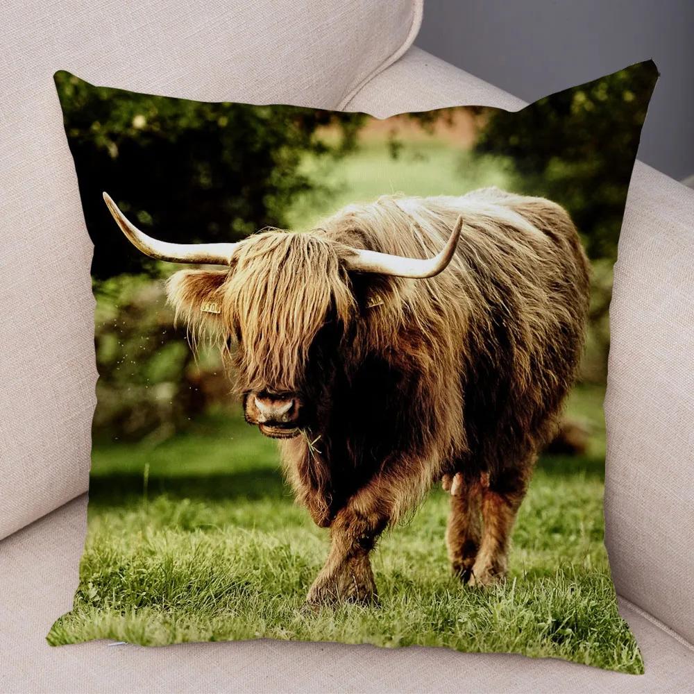 Scotland Kyloe Pillow Case Decor Wild Cow Colorful Animal Print Pillowcase Soft Short Plush Cushion Cover for Home Sofa 45x45cm