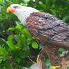 Resin Hanging Eagle Decorative Ornament And Yard