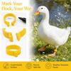 100Pcs Plastic Chicken Ankle Rings Yellow Poultry Feet Rings Geese Leg Rings  For Breeding Ducks
