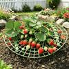 Strawberry Plant Support Reusable Strawberry Support Frame Strawberry Growing Frame Keeps Berries Clean And Off The Ground for Healthy Growth
