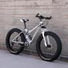 Adult Off-Road Mountain Bike with 4.0 Tires & Shock Absorption for Men, Women & Students