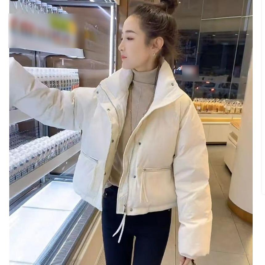 Down Cotton-padded Jacket Women's Short, All-match Stand-up Collar, Thick Bread-padded Jacket, Cotton-padded Jacket Trend
