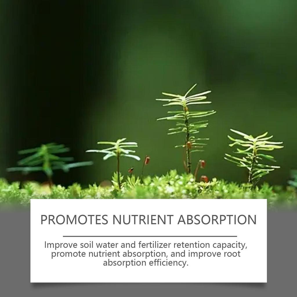 Attivatore del suolo, fertilizzante per piante da giardinaggio e floreali per integrare i nutrienti e mantenere la salute del suolo quotidianamente