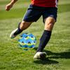 1pc Vinyl Field Theme Soccer Ball Football, Size 5, Lightweight PVC, Outdoor Training Soccer Ball,Gift J61434
