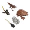 Animal Figure Toys PVC Compact Realistic Children Cognitive Growth Cycle Animal Model Frog Toy for