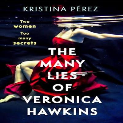 The Many Lies of Veronica Hawkins by Kristina Perez Paperback Book 9781408719039