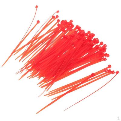 100 Pcs Self Locking Tie Nylon