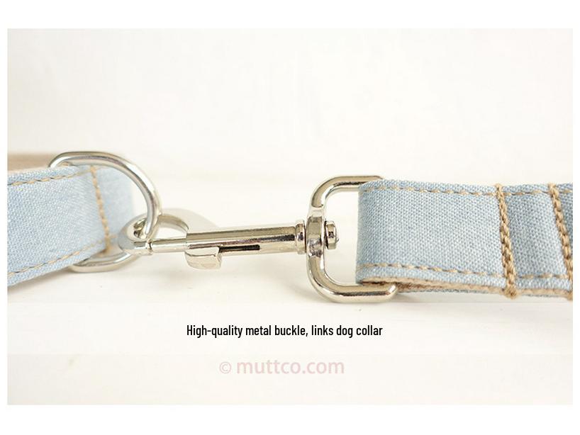 Custom Blue Dog Leash and Collar Set
