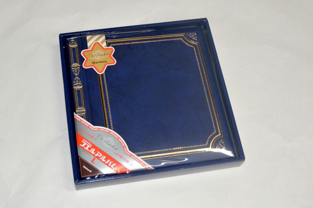 Nakabayashi Fuel Album Esteem A-LG-301-B Navy