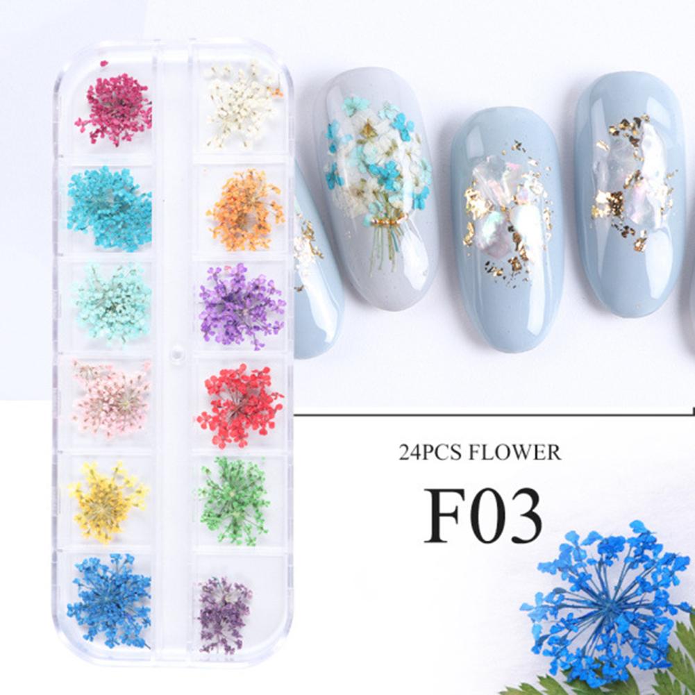 3D Nail Manicure Dried  Flowers 12 Kinds Colorful Realistic Diy Crafts Resin Jewelry Ornaments Phone Cases Invitation Cards Decor