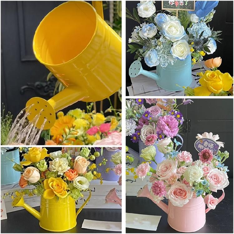 Kovová konvička Malá zahradní konvička s pohodlnou rukojetí Dlouhá hubice Konvička na zalévání pro vnitřní i venkovní použití