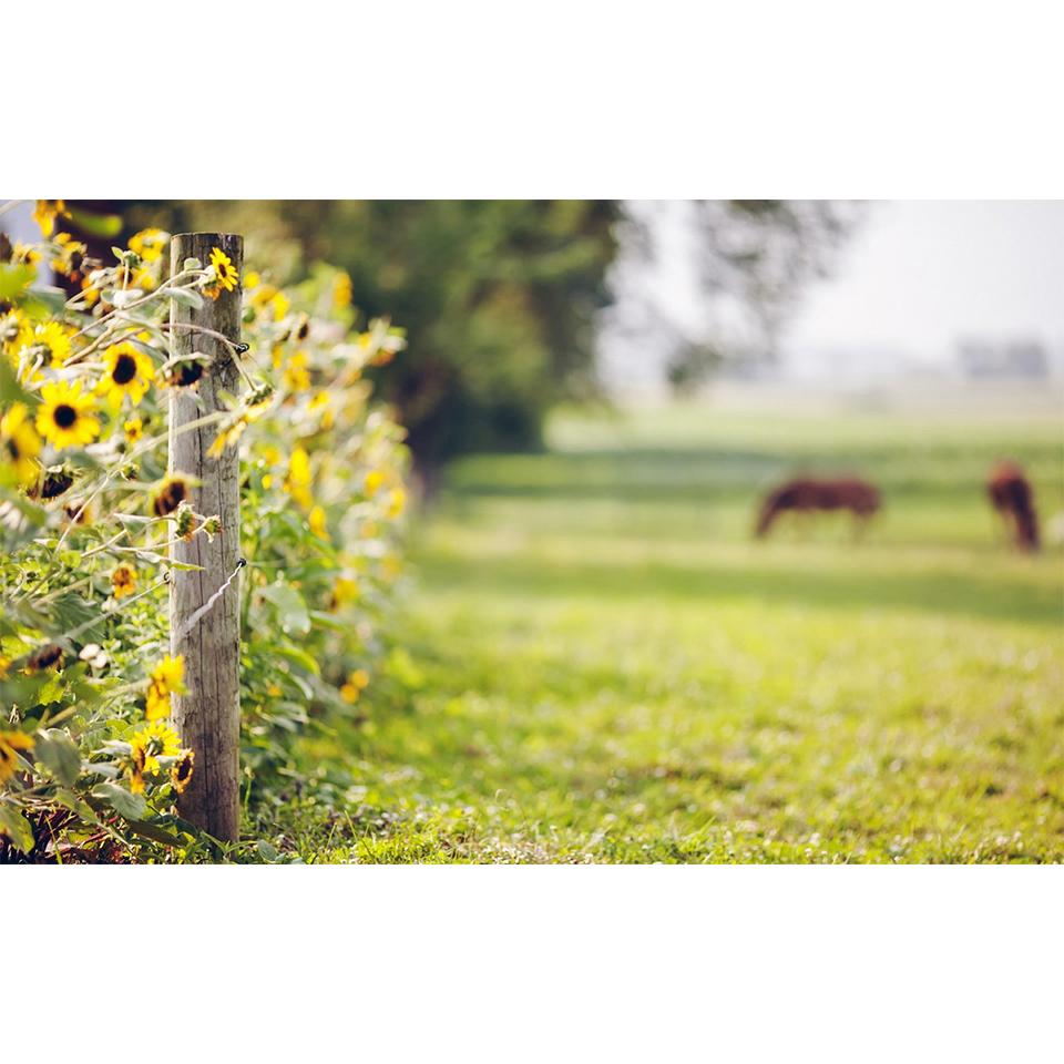 Landscape DIY5D Diamond Painting Rhinestone Pictures Mosaic Landscape Cross Stitch Kit