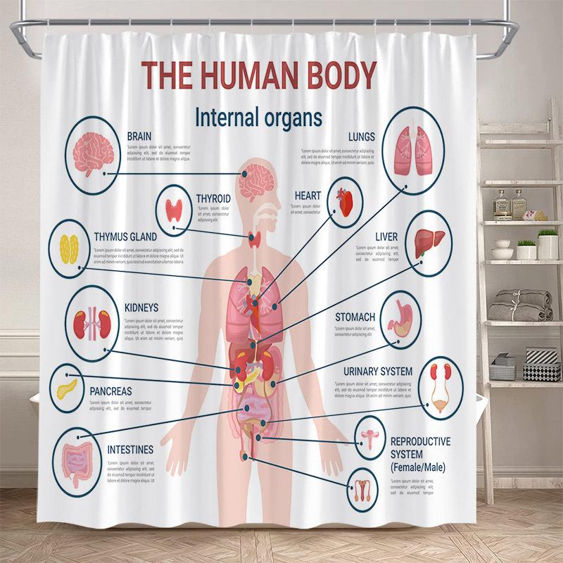 Zasłona Prysznicowa Układ Okresowy Nowoczesna Zabawna Pierwiastki Chemiczne Dla Uczniów Dekoracja Domu Tkanina Poliestrowa Zasłona Łazienkowa z Haczykami