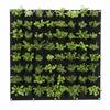 64 Pockets Plant Bag 100*100cm Grow Bag Durable Wall Plant Bags  Flower and Vegetable Planting
