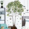 Removable Birch Tree Fresh Plant Wall Sticker PVC Background Plants Playroom Decals Decor  Bedroom