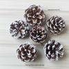 2023 Pine Cone & Dried Flowers for Christmas DIY: Ponderosa, Loblolly, Spruce