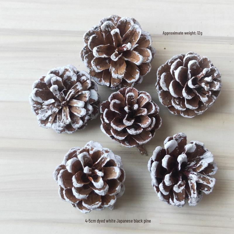 2023 Pine Cone & Dried Flowers for Christmas DIY: Ponderosa, Loblolly, Spruce