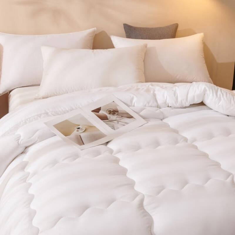 Comfort Brushed Microfiber All-Season Duvet