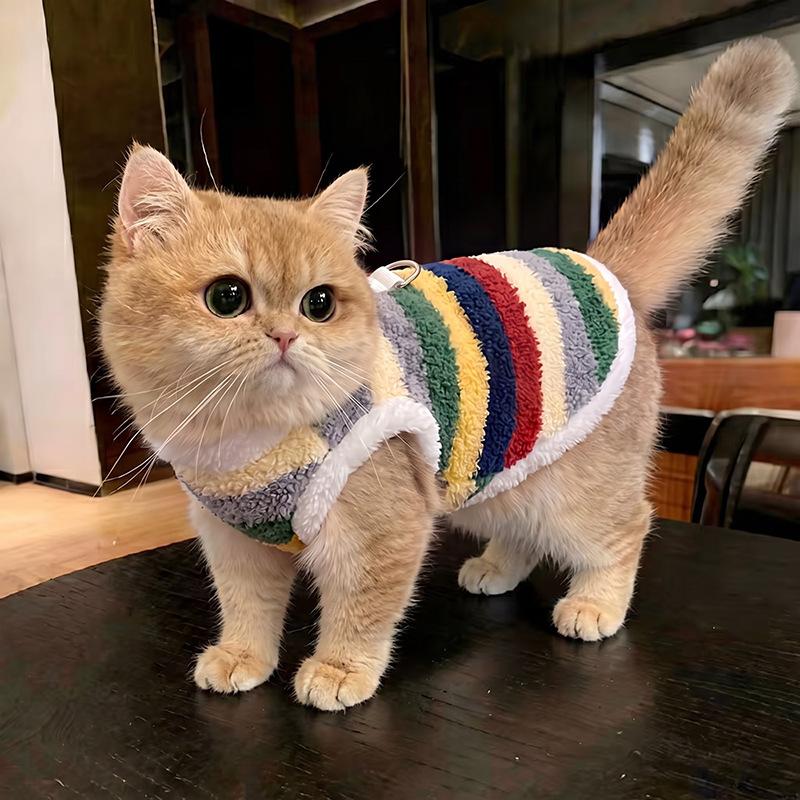Pet Clothes Autumn and Winter Rainbow Striped Flannel Bigbear Cat Teddy Pomeranian Small Dog Dog Thermal Vest