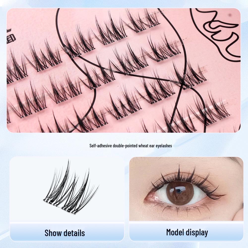 Glue-Free Double-Pointed Sunflower False Eyelashes – Waterproof, Sweatproof, Beginner-Friendly, Natural Look