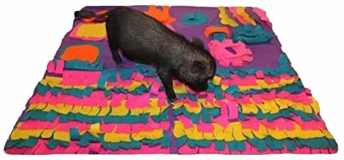 

AZ Micro Mini Pigs Pig Activity Rooting Snuffle Mat Lining Non-Slip фиолетовый