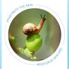 Snail Cream 140g Hydrating, Moisturizing, Moisturizing and Rejuvenating Skin, Live