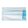 Disposable 3-Ply Earloop Face Masks