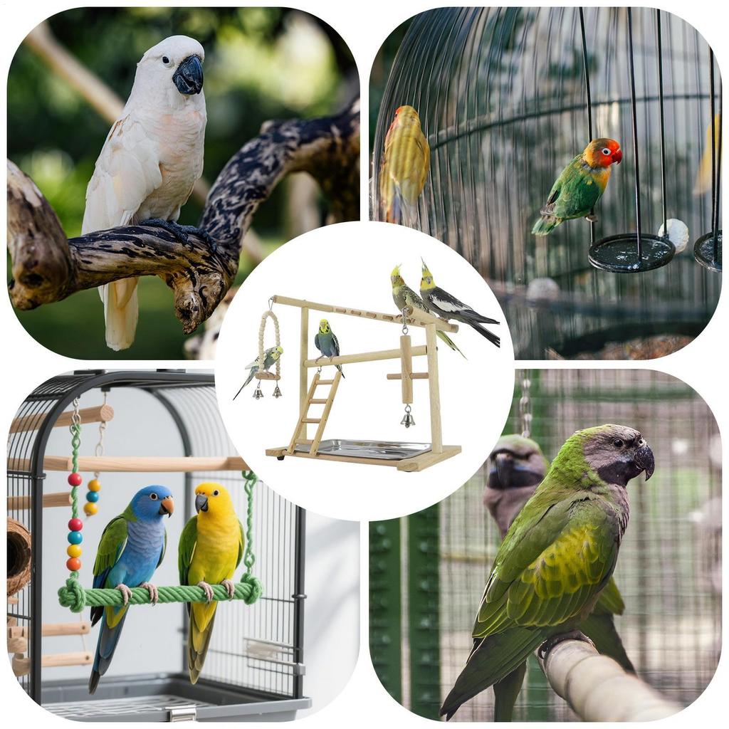 Bird Perch Stand Wooden Swings Ladders Toys With Removable Stainless Tray And Cup Parakeet Playground For Standing Chewing