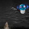 Indicatore Luminoso Allarme Amo da Pesca Luce Notturna Canna da Pesca Sensore di Impatto Allarme di Rilevamento ad Alta Sensibilità