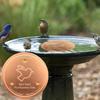 0.8mm Thick Bird Bath Copper Disk Triple-Point Support Outdoor Birdbaths Bowl  Patio