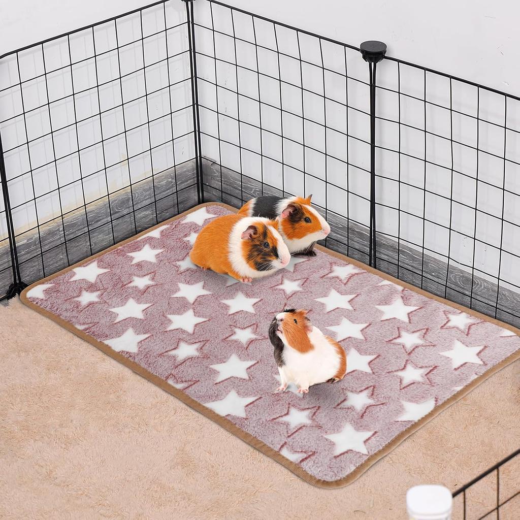 Guinea Pig Blanket, 2 Pack Warm Soft Coral Fleece Small Animal Blankets Washable Pet Cage Liners Sleep Mat Pad Cover for Rabbit Hamster Dog Cat