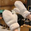 Accessori – Guanti, mezzi guanti e muffole