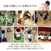 Korokara Building Blocks & Karakara Building Blocks Creative Set, 252 Pieces, with Marbles, Wooden Building Blocks, Made in Japan (Miyazaki