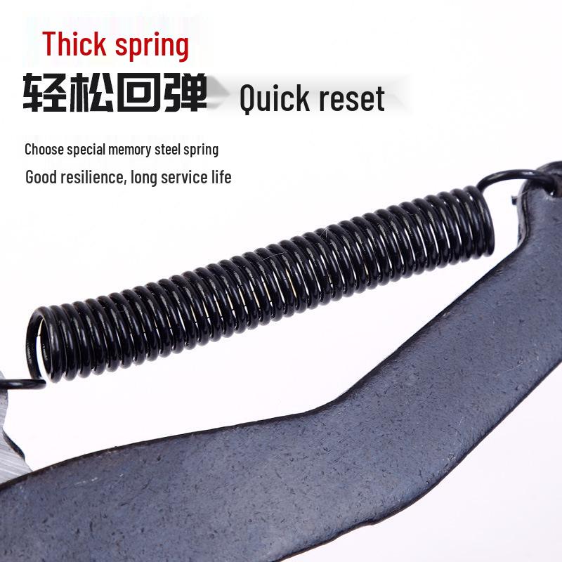 Telescopic High-Branch Pruner & Saw for Fruit Picking and Tree Pruning