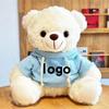 Teddy Bear Plush Toy with Cute Logo and School Emblem Design
