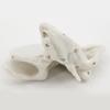 Human Skeleton Anatomical Model Temporal Bone Model Teaching Aid Human Ethmoid Bone Model for Science Class