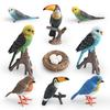 Childrens Parrot Model Pvc Growth Cycle Educational Bird Display For Kids