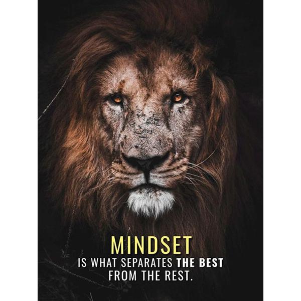 DIY 5D Diamond Painting Ruthless Lion Diamond Mosaic Cross Stitch Kits Home Decoration Full Round Diamond Embroidery