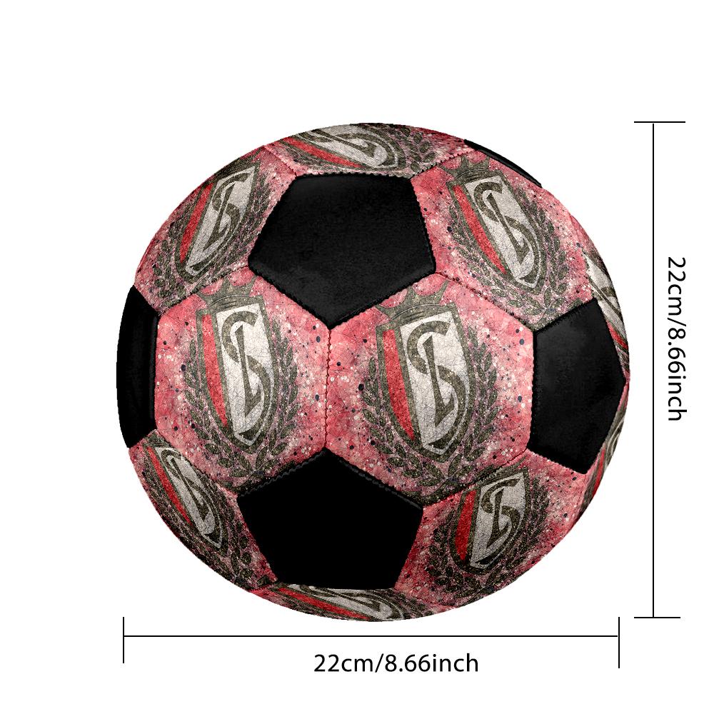 SIZE 5 Standard Liège Soccer Ball Colorful All Ages Machine Stitched PVC Competition Ready Durable High-Bounce