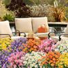 Artificial Flowers Outdoor for Decoration UV Resistant Plastic Fake Plants Garden Porch Window Kitchen Office Table Decoration