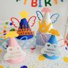 Cute Happy Birthday Hat Felt Cone Hats DIY Birthday Cap Celebration Decor Birthday Party Supplies Photo Props for Adult Kids