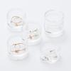 MUJI Acrylic Divider 5 Diameter X OHG03A1A Case, Tiers, 3.5 12.1cm,
