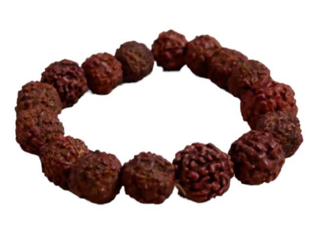@ Indian Traditional Lord Shiva Dark Brown Rudraksha Bracelet For Men Women SM132-60% OFF
