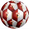 FC Augsburg FC Size 5 Standard Football Durable Training Match Soccer Ball for Adult Outdoor Sports