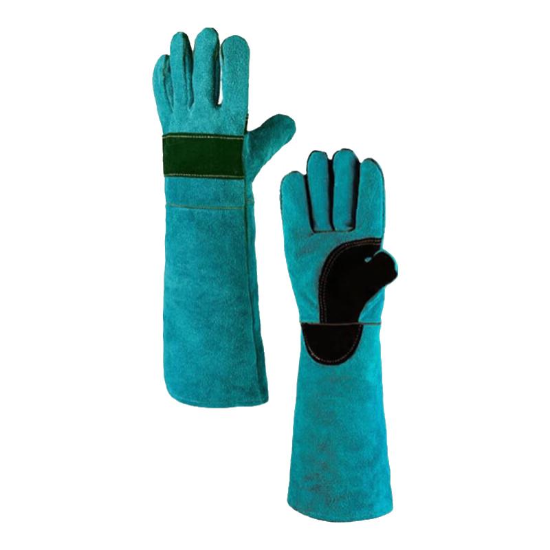 Traubergo Professional Dog Training Equipment