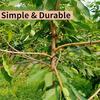 10 PCS Rubber Hooks Branch Bender Metal Tree Branch Spreader Tree Shaping Limb Spreader  Fruit Trees